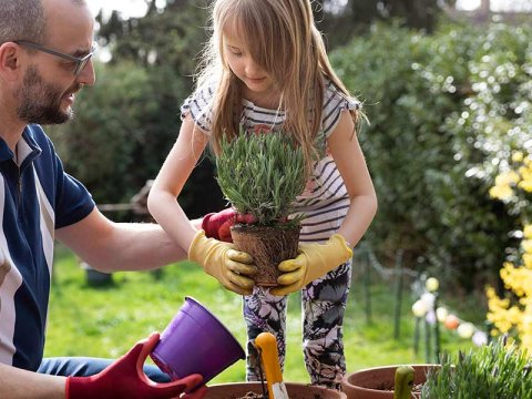 Woonverzekering en je tuin: Wat is er verzekerd?