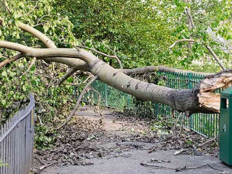 Schade voorkomen: 5 tips om je voor te bereiden op storm