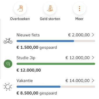 Doelsparen scherm van Internetsparen in de NN App met spaardoelen 
