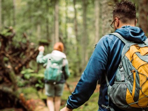 Hoelang doe je over 10 km wandelen